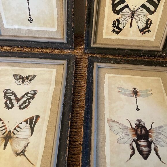 Creative Co-Op Distressed Antique Look Set of 4 Butterfly-Insect Framed Art - Picture 13 of 15